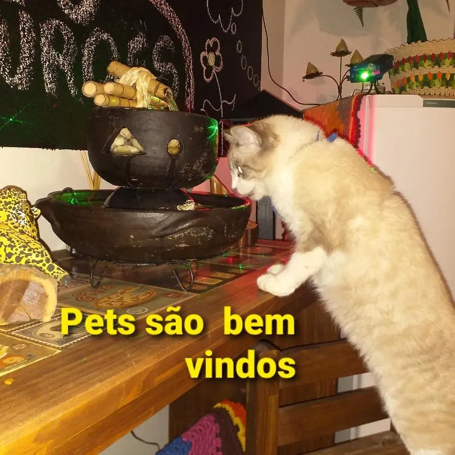 Hostel Lumaria 1 Blumenau